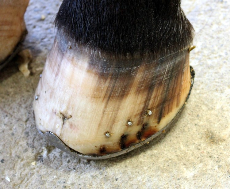 Bakhov. Foto och copyright Stig Nilsson