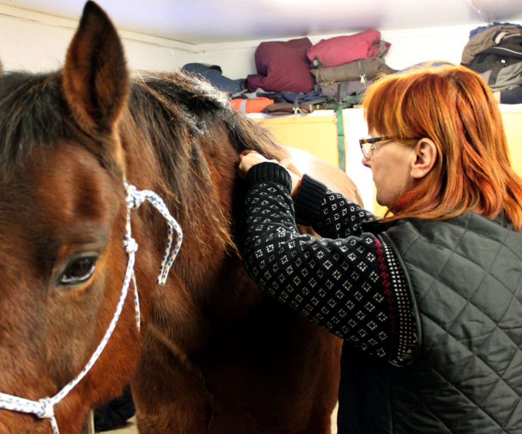 ET på framdel. Foto och copyright Stig Nilsson