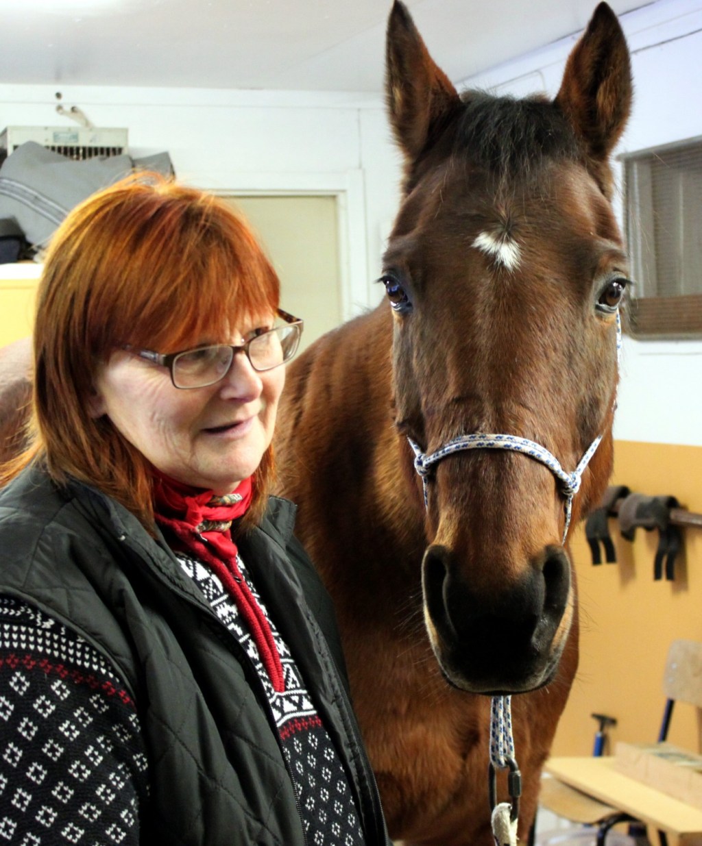 Foto och copyright Stig Nilsson