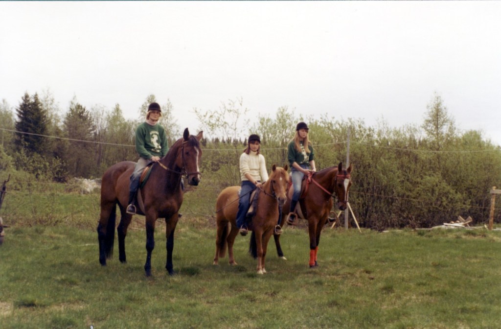 Delar av Långvattnets Ridklubb våren 77