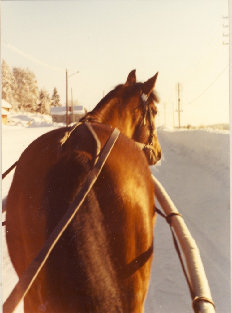 Lonius vintern 1976