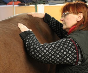 Foto och Copyright Stig Nilsson