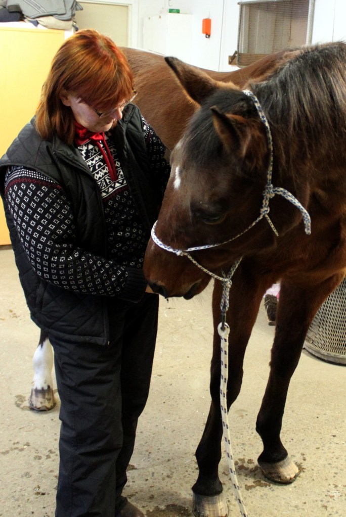 Rörlighet i bl.a hals  kontrolleras. Foto och copyright Stig Nilsson