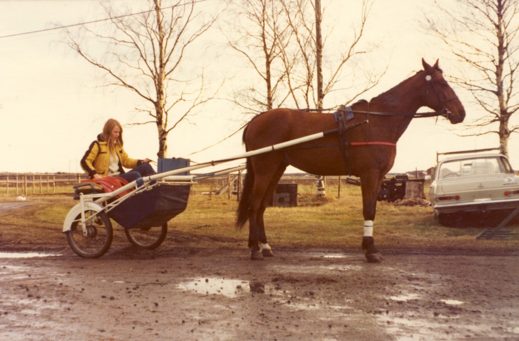 Syrran och Lonius samt min pappas egenhändigt tillverkade rockard. 