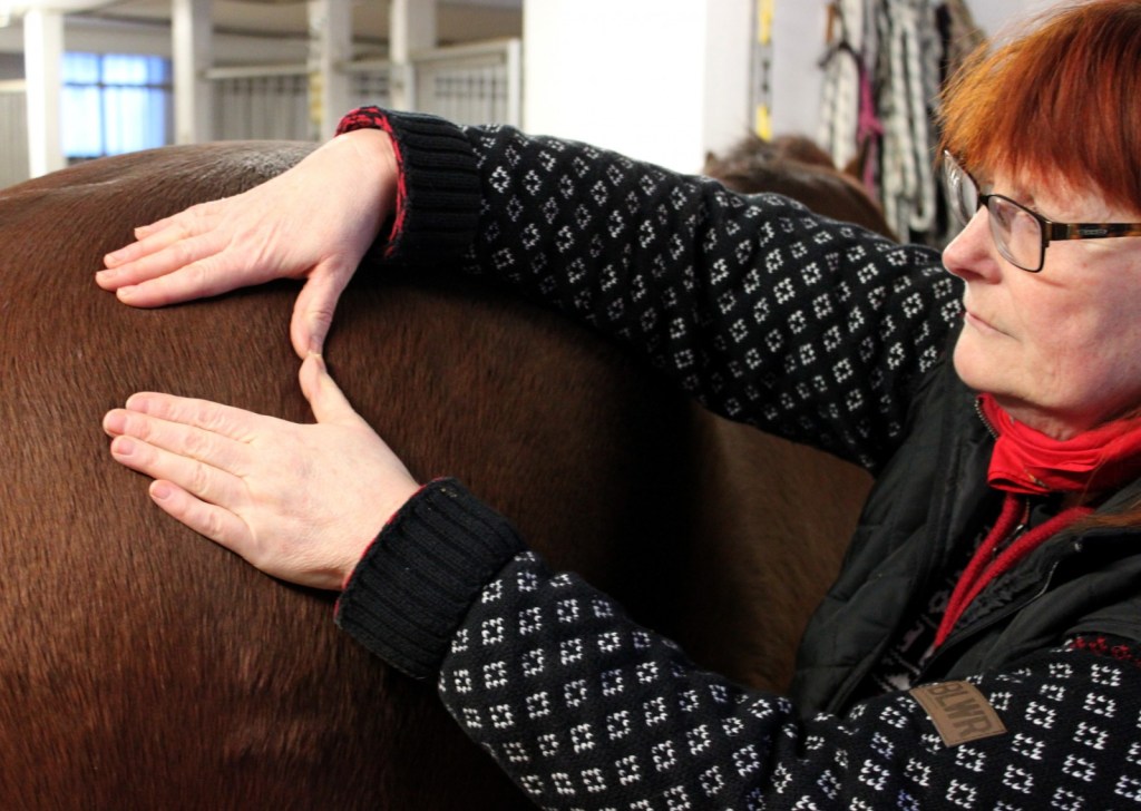 ET på bakdel. Foto och copyright Stig Nilsson