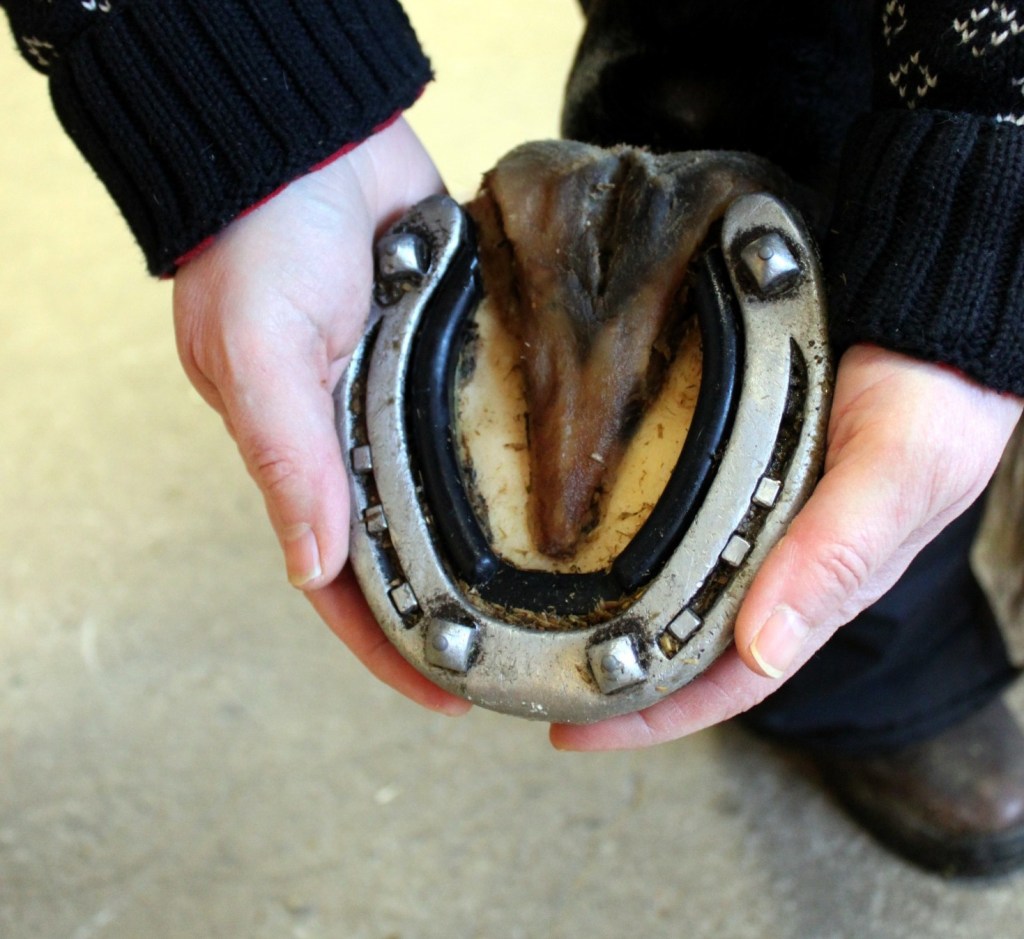 Foto och Copyright Stig Nilsson