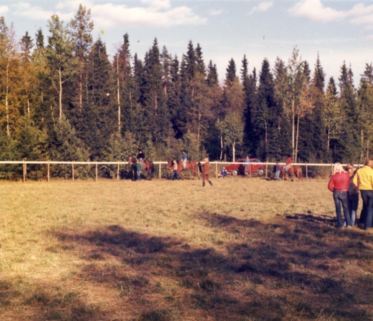 De första ridlektionerna i Nordmalings Ridklubb hösten 1977