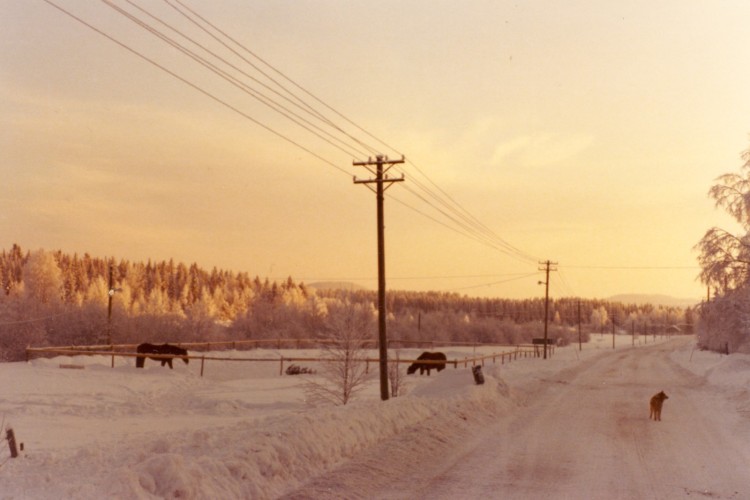 Vinterdag Långvattnet 1976